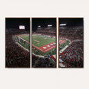 Houston Cougars Football Team Print - Houston TDECU Stadium
