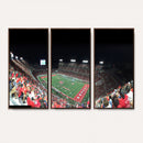 Houston Cougars Football Team Print - Houston TDECU Stadium