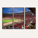 Wisconsin Badgers Football Team Print - Madison Camp Randall