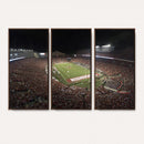 Wisconsin Badgers Football Team Print - Madison Camp Randall