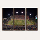 Demon Deacons Print Canvas, Football Team Print -
