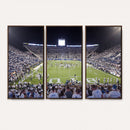 Brigham Young University Cougars Football Print Canvas -