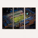 University of North Texas Mean Green Football Artwork,