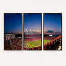 Wolfpack Football Team Wall Art Print - Raleigh