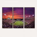 East Carolina University Pirates Football Print Canvas-