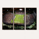 Florida Atlantic University Owls Football Team Print - Boca