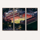 University of Illinois Fighting Illini Football Team Print -
