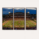 University of Illinois Fighting Illini Football Team Print -