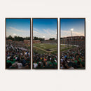University of Charlotte 49ers Football Team Print -