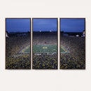 University of Michigan Wolverines Football Team Print - Ann