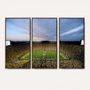 University of Michigan Wolverines Football Team Print - Ann