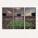 University of Michigan Wolverines Print Canvas, Football