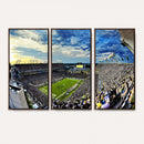Framed USF Bulls Football Team Print - Tampa Raymond James