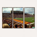 Central Michigan University Chippewas Football Team Print -