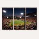 Clemson University Tigers Art Print, Football Team Print -