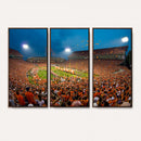 Clemson University Tigers Football Team Print - Clemson
