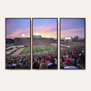 Indiana University Hoosiers Football Team Print -