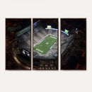 Michigan State Spartans Football Team Print - East Lansing
