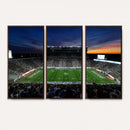 Michigan State Spartans Football Team Print - East Lansing