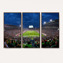 Michigan State Spartans Football Team Print - East Lansing