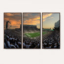 Michigan State Spartans Football Team Print - East Lansing