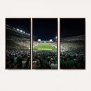 Framed Michigan State Spartans Football Team Print - East