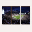 Michigan State Spartans Canvas, Framed Football Team Print -