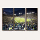 University of Oregon Ducks Football Team Print - Eugene