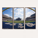 Rice University Owls Football Team Print - Houston Rice