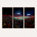 Rutgers Scarlet Knights Football Team Print - SHI Stadium,