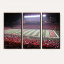 Rutgers University Scarlet Knights Football Team Print -
