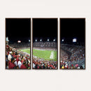 Stanford University Cardinal Football Team Print - Stanford