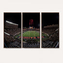 Framed Texas Tech Red Raiders Stadium Canvas, Texas Tech Red