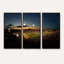 Ball State Cardinals Football Team Print - Muncie Scheumann
