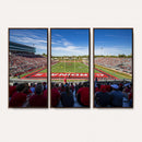 Ball State Cardinals Football Team Print - Muncie Scheumann