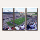 The Texas Christian University TCU Horned Frogs Football