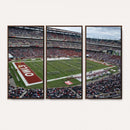 The Temple University Owls Athletics Team Print -