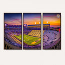 The Louisiana State University Tigers Football Team Print -