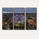 The Louisiana State University Tigers Football Team Print -