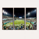The Tulane University Green Wave Football Team Print - New