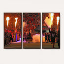 The University of Texas at San Antonio Roadrunners Football
