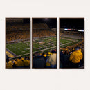West Virginia Uni Mountaineers Football Team Print - Milan