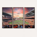 Oregon State Beavers Football Team Print - Corvallis Reser