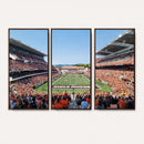 Oregon State Beavers Football Team Print - Corvallis Reser
