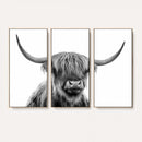 Scottish Highland Cow Cattle Art Print Wall Art Canvas Print