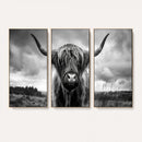 Scottish Cow Wall Art Canvas Print | Longhorn Wall Art |