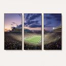 Notre Dame Fighting Irish Football Team Print - Notre Dame