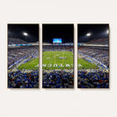 Kroger Field Canvas Wall Art - Kentucky Stadium Wall Art