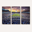 Kroger Field Wall Art Print - Kentucky Stadium Wall Art