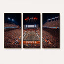 Texas Stadium Night Game Wall Art Canvas Print – Vibrant